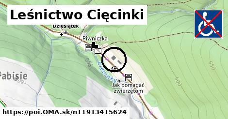 Leśnictwo Cięcinki