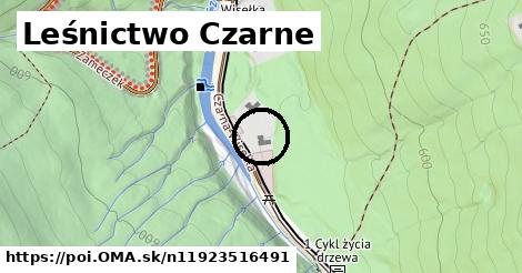 Leśnictwo Czarne