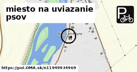 miesto na uviazanie psov