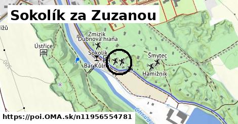 Sokolík za Zuzanou