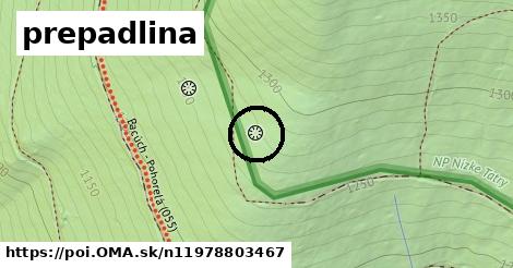 prepadlina