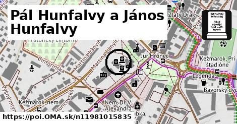 Pál Hunfalvy a János Hunfalvy