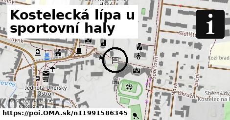 Kostelecká lípa u sportovní haly