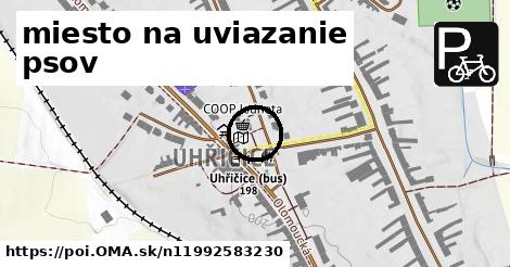 miesto na uviazanie psov