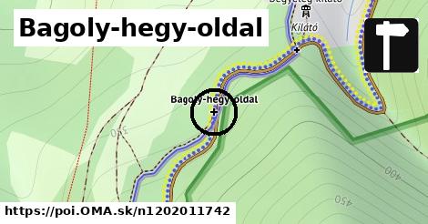 Bagoly-hegy-oldal