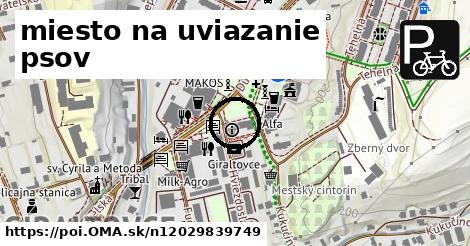 miesto na uviazanie psov