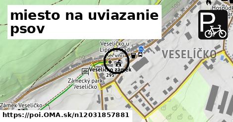 miesto na uviazanie psov