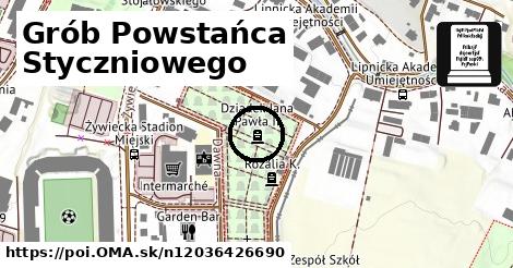 Grób Powstańca Styczniowego