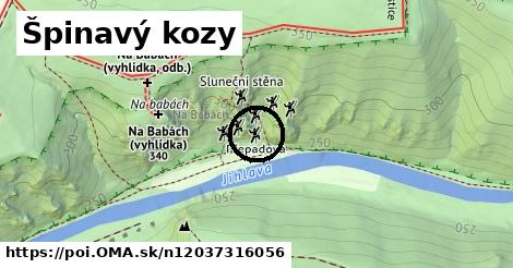 Špinavý kozy