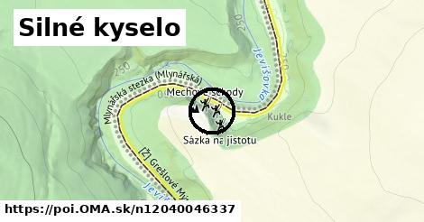 Silné kyselo