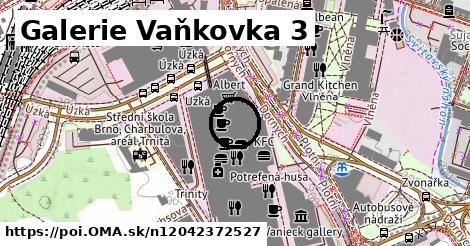 Galerie Vaňkovka 3