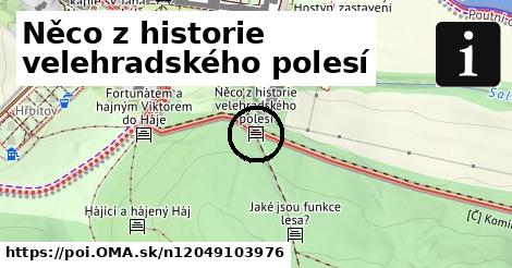 Něco z historie velehradského polesí