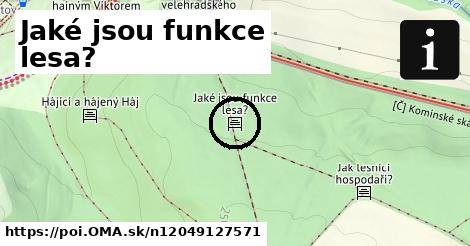 Jaké jsou funkce lesa?