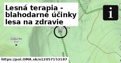 Lesná terapia - blahodarné účinky lesa na zdravie