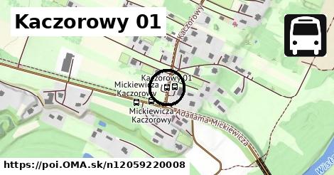 Kaczorowy 01