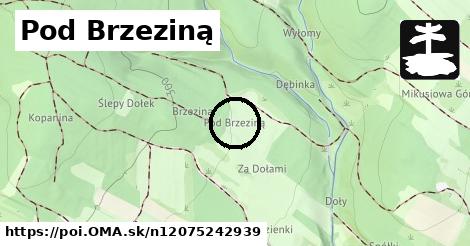 Pod Brzeziną