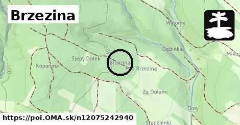 Brzezina