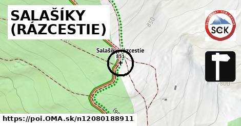 SALAŠÍKY (RÁZCESTIE)