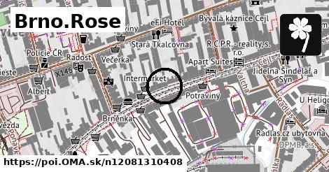 Brno.Rose