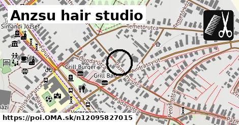 Anzsu hair studio