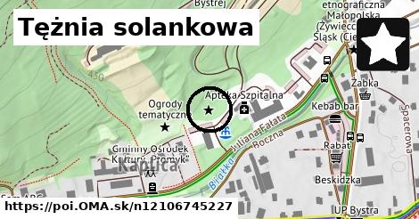 Tężnia solankowa