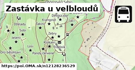 Zastávka u velbloudů