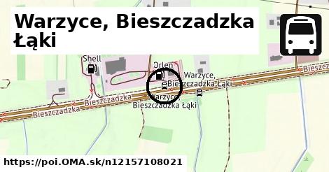 Warzyce, Bieszczadzka Łąki