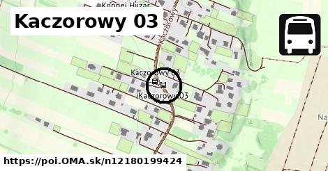 Kaczorowy 03