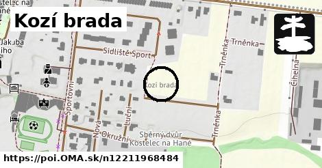 Kozí brada