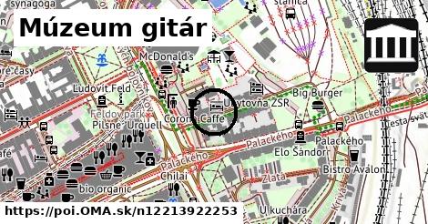 Múzeum gitár