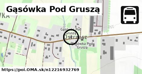 Gąsówka Pod Gruszą