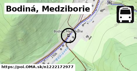 Bodiná, Medziborie