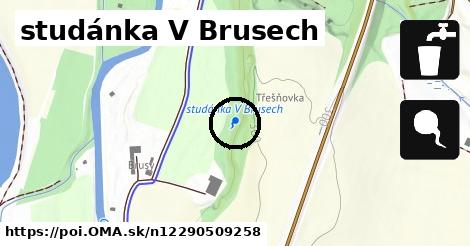 studánka V Brusech