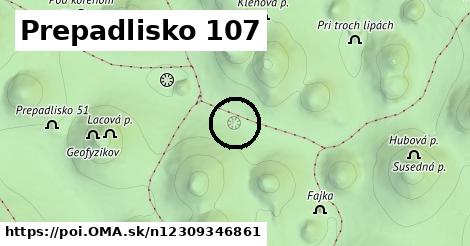 Prepadlisko 107