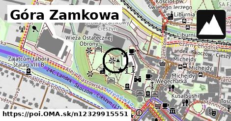 Góra Zamkowa