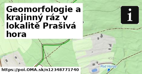 Geomorfologie a krajinný ráz v lokalitě Prašivá hora