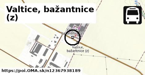Valtice, bažantnice (z)