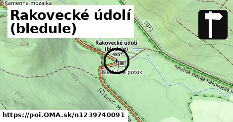 Rakovecké údolí (bledule)