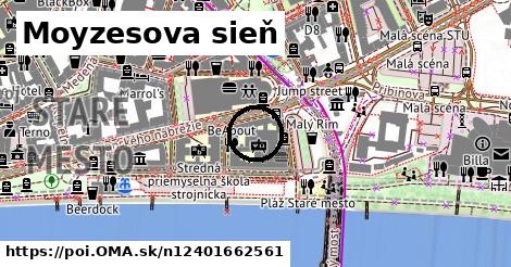 Moyzesova sieň