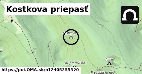 Kostkova priepasť