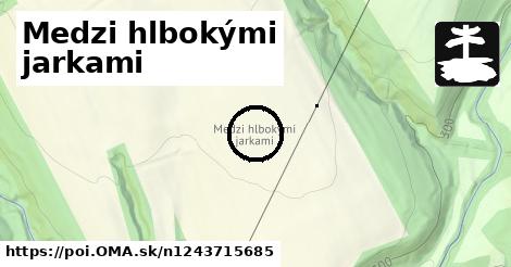 Medzi hlbokými jarkami