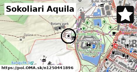 Sokoliari Aquila