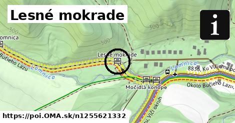 Lesné mokrade