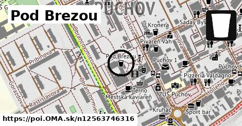 Pod Brezou