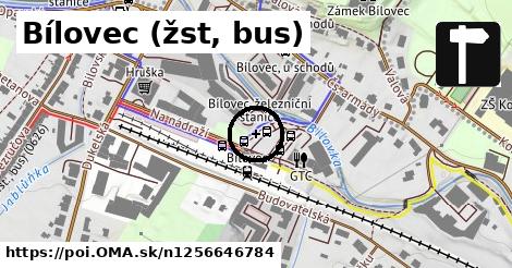 Bílovec (žst, bus)