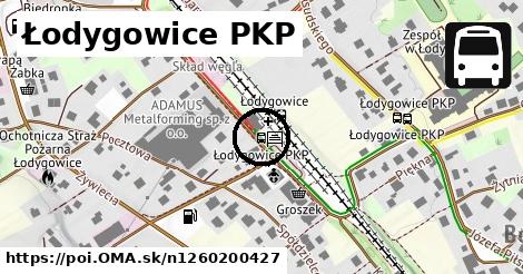 Łodygowice PKP