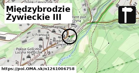 Międzybrodzie Żywieckie III