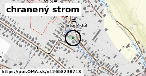 chranený strom