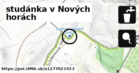 studánka v Nových horách