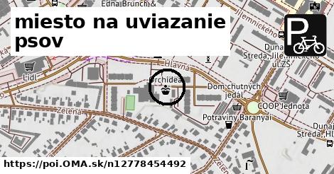miesto na uviazanie psov